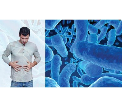 Probiotics Provide Anti Aging Defense